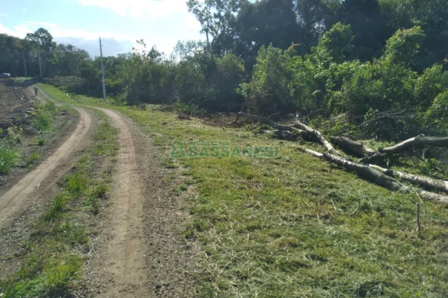 Chácara com 60m², 2 dormitórios, no bairro Criúva em Caxias do Sul para Comprar