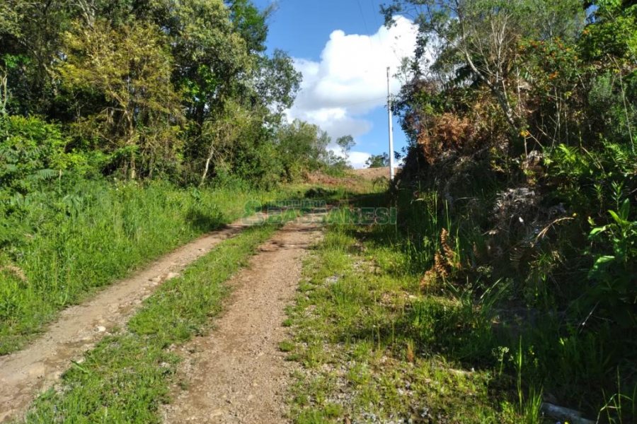 Chácara com 60m², 2 dormitórios, no bairro Criúva em Caxias do Sul para Comprar