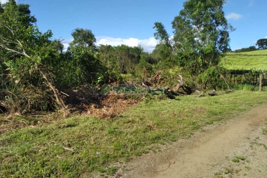 Chácara com 60m², 2 dormitórios, no bairro Criúva em Caxias do Sul para Comprar