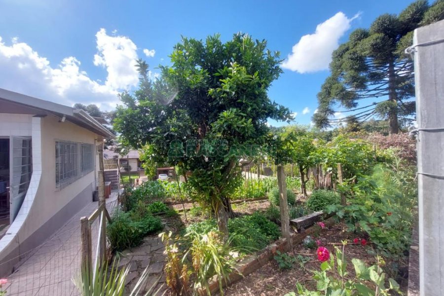 Casa com 143m², 5 dormitórios, no bairro São Ciro em Caxias do Sul para Comprar