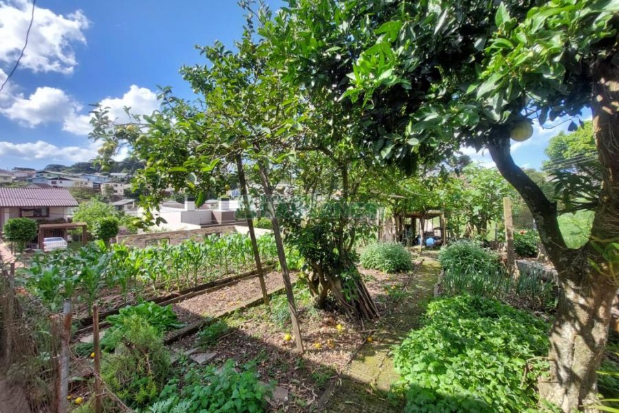 Casa com 143m², 5 dormitórios, no bairro São Ciro em Caxias do Sul para Comprar