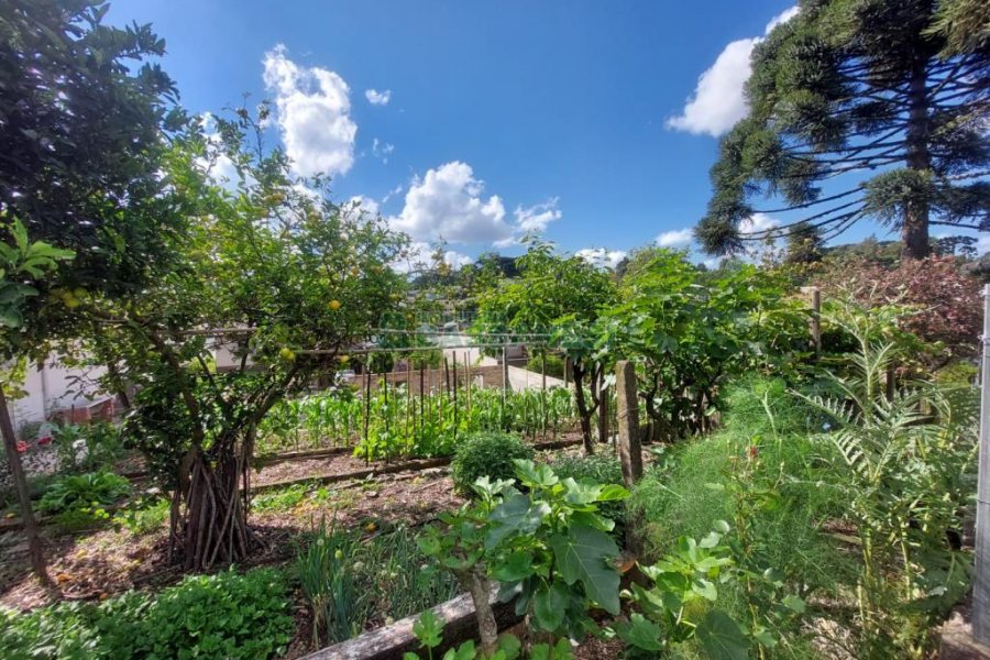 Casa com 143m², 5 dormitórios, no bairro São Ciro em Caxias do Sul para Comprar