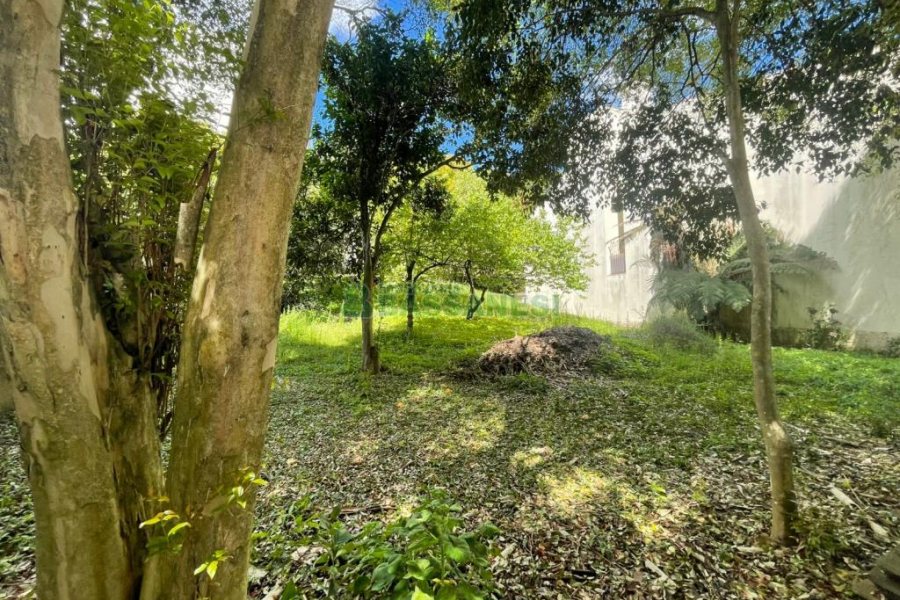 Terreno com 420m², no bairro Cidade Nova em Caxias do Sul para Comprar