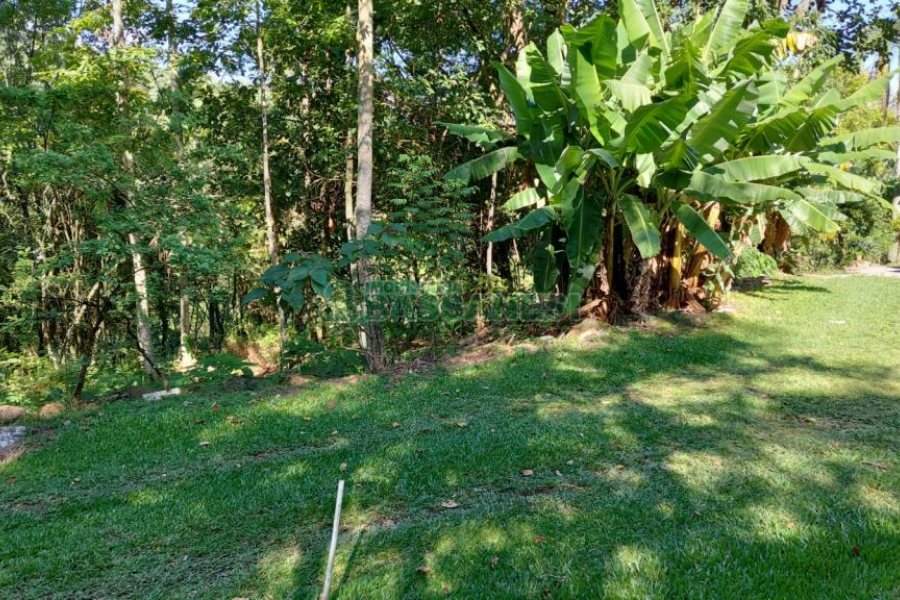 Terreno, no bairro Linha Feijo em Caxias do Sul para Comprar