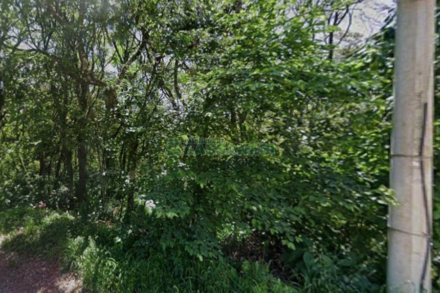 Terreno, no bairro Galópolis em Caxias do Sul para Comprar