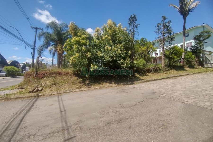 Terreno, no bairro Salgado Filho em Caxias do Sul para Comprar
