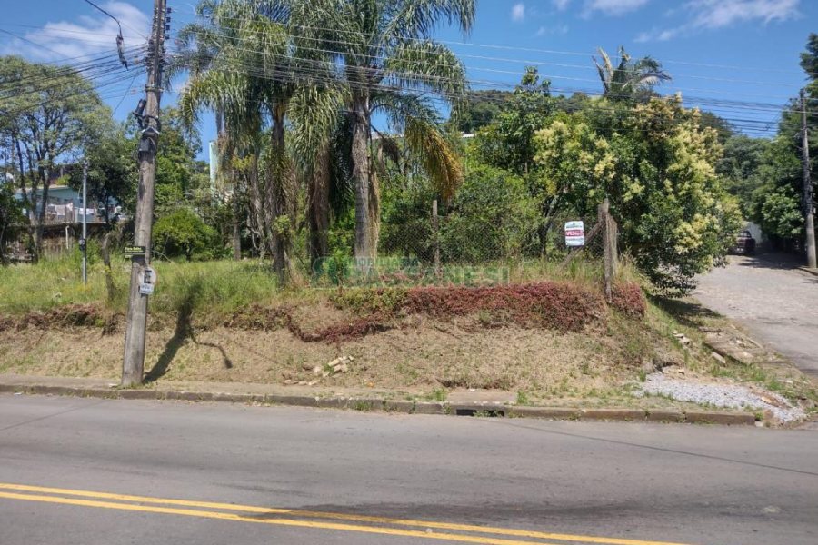 Terreno, no bairro Salgado Filho em Caxias do Sul para Comprar