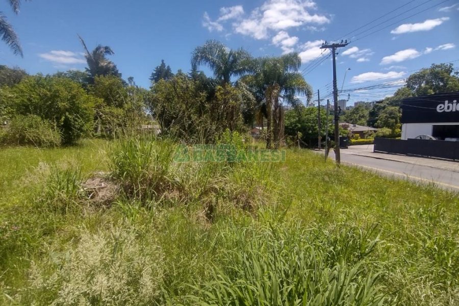 Terreno, no bairro Salgado Filho em Caxias do Sul para Comprar