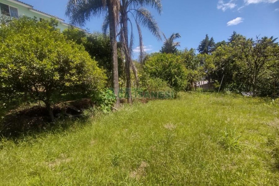 Terreno, no bairro Salgado Filho em Caxias do Sul para Comprar