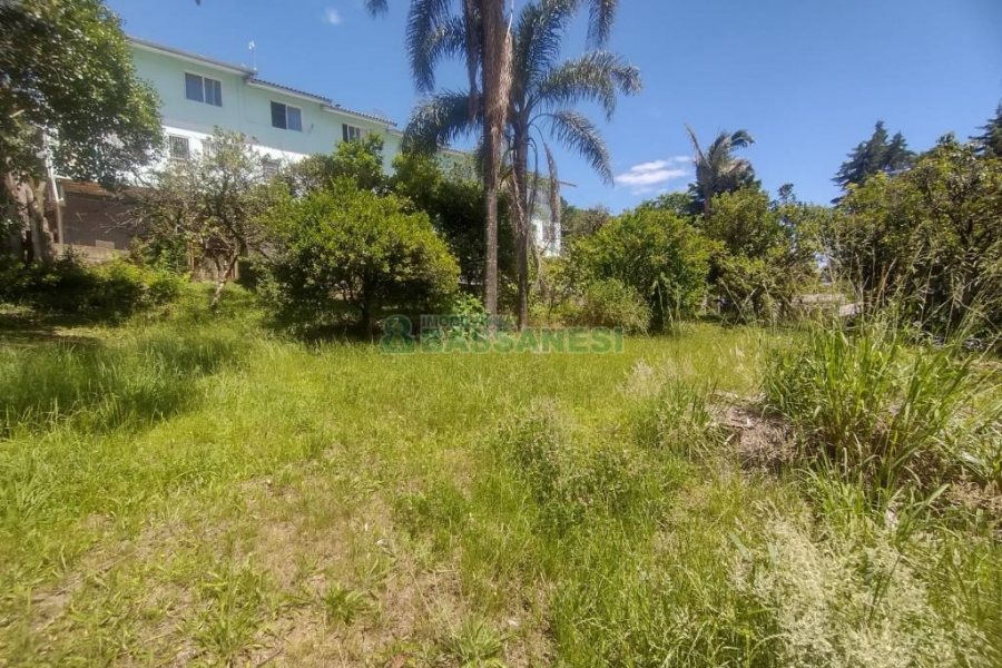 Terreno, no bairro Salgado Filho em Caxias do Sul para Comprar
