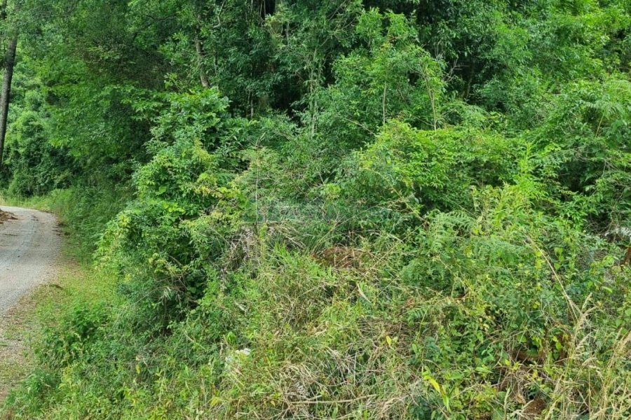 Terreno, no bairro São Giácomo em Caxias do Sul para Comprar