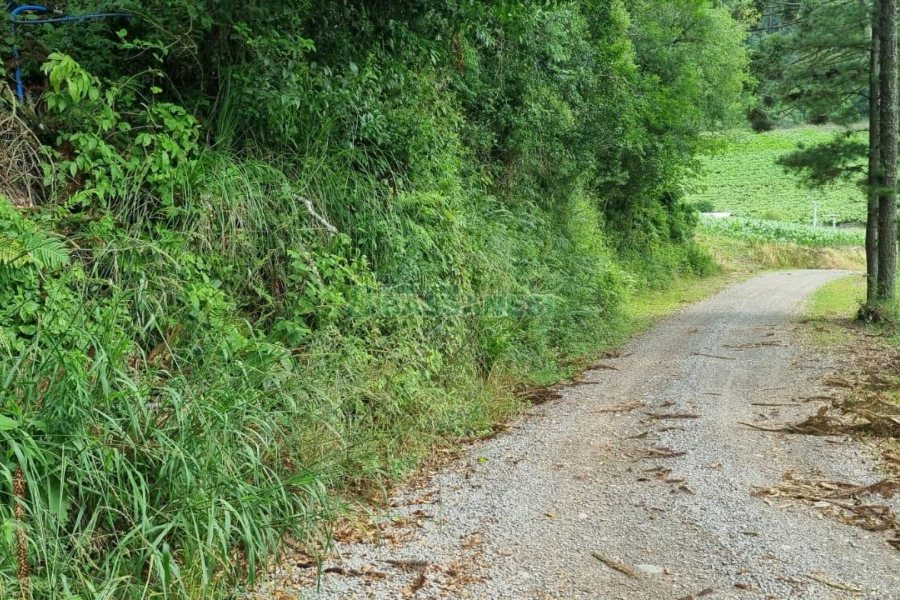 Terreno, no bairro São Giácomo em Caxias do Sul para Comprar