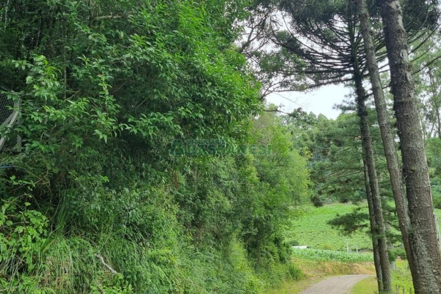 Terreno, no bairro São Giácomo em Caxias do Sul para Comprar