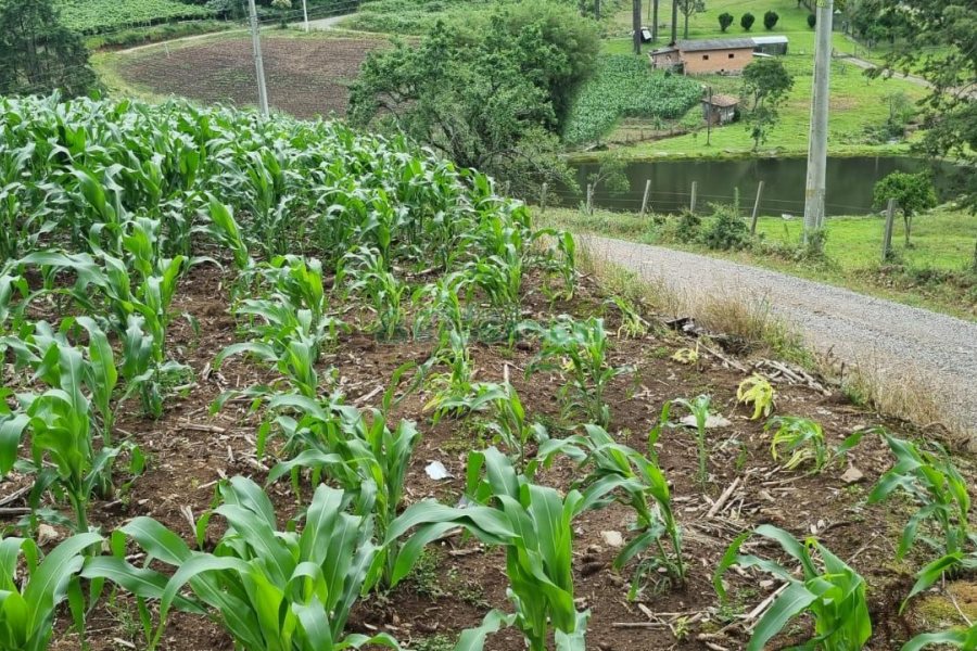 Terreno, no bairro São Giácomo em Caxias do Sul para Comprar