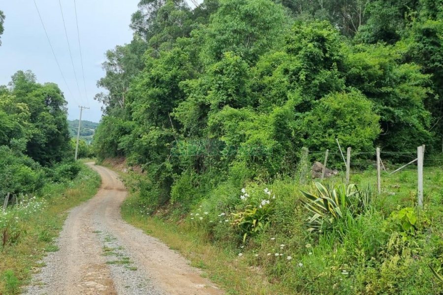 Terreno com 40200m², no bairro São Giácomo em Caxias do Sul para Comprar