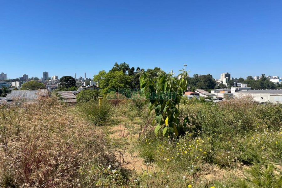 Terreno, no bairro Interlagos em Caxias do Sul para Comprar