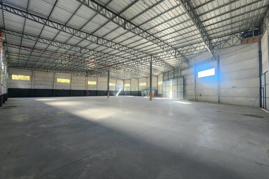 Pavilhão com 1600m², no bairro São Giacomo em Caxias do Sul para Alugar