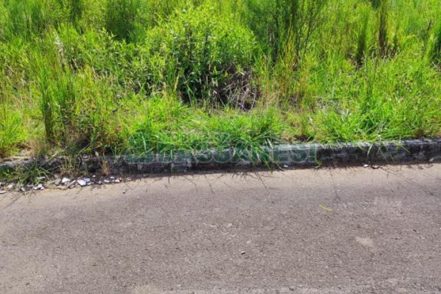 Terreno, no bairro São Virgílio em Caxias do Sul para Comprar