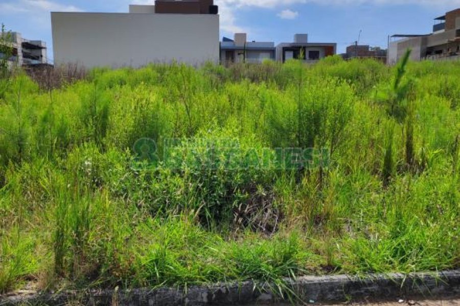 Terreno, no bairro São Virgílio em Caxias do Sul para Comprar