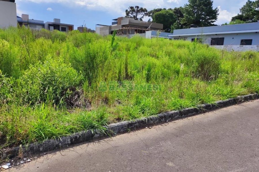 Terreno, no bairro São Virgílio em Caxias do Sul para Comprar