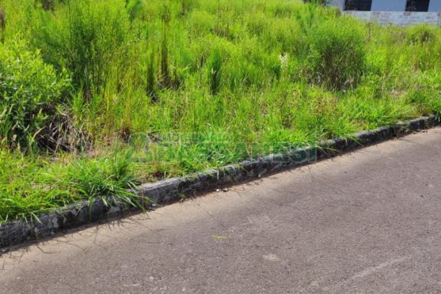 Terreno, no bairro São Virgílio em Caxias do Sul para Comprar