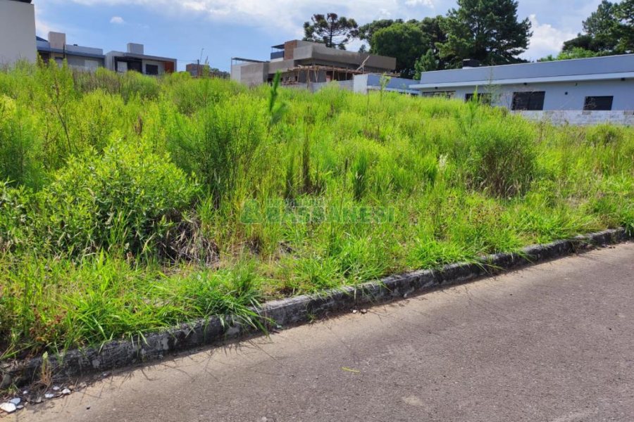 Terreno, no bairro São Virgílio em Caxias do Sul para Comprar