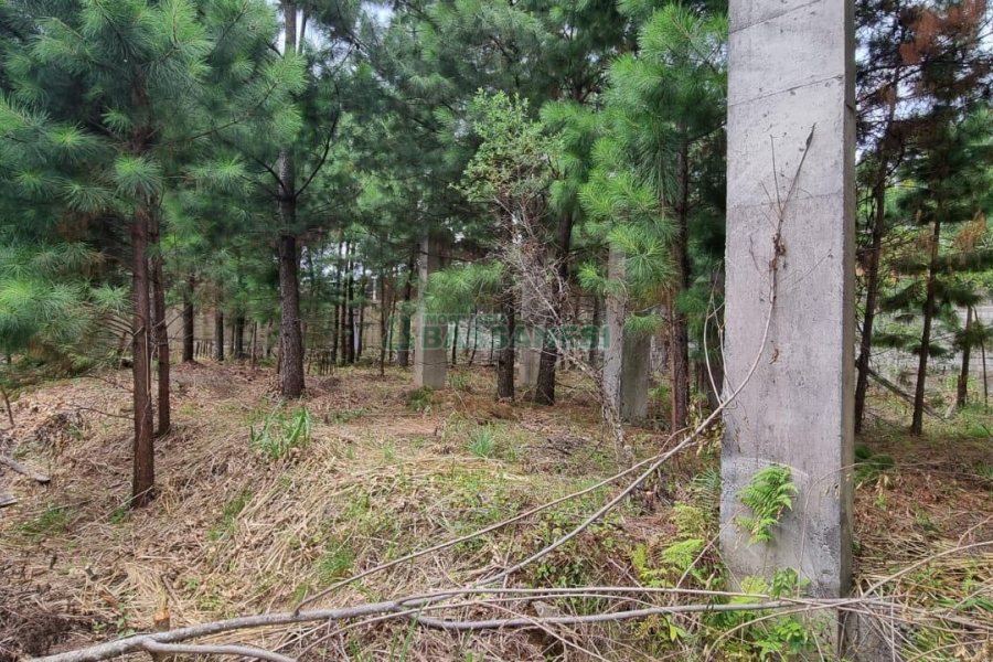 Terreno, no bairro Bela Vista em Caxias do Sul para Comprar