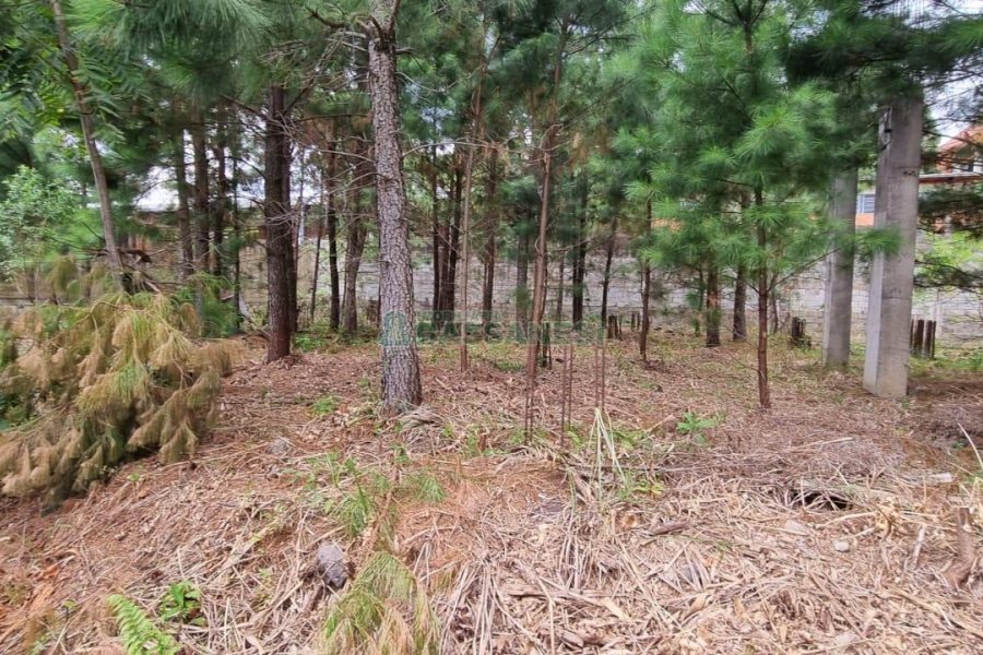 Terreno, no bairro Bela Vista em Caxias do Sul para Comprar