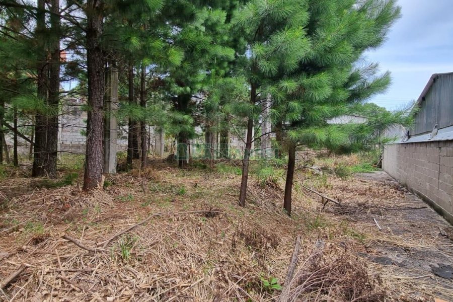 Terreno, no bairro Bela Vista em Caxias do Sul para Comprar