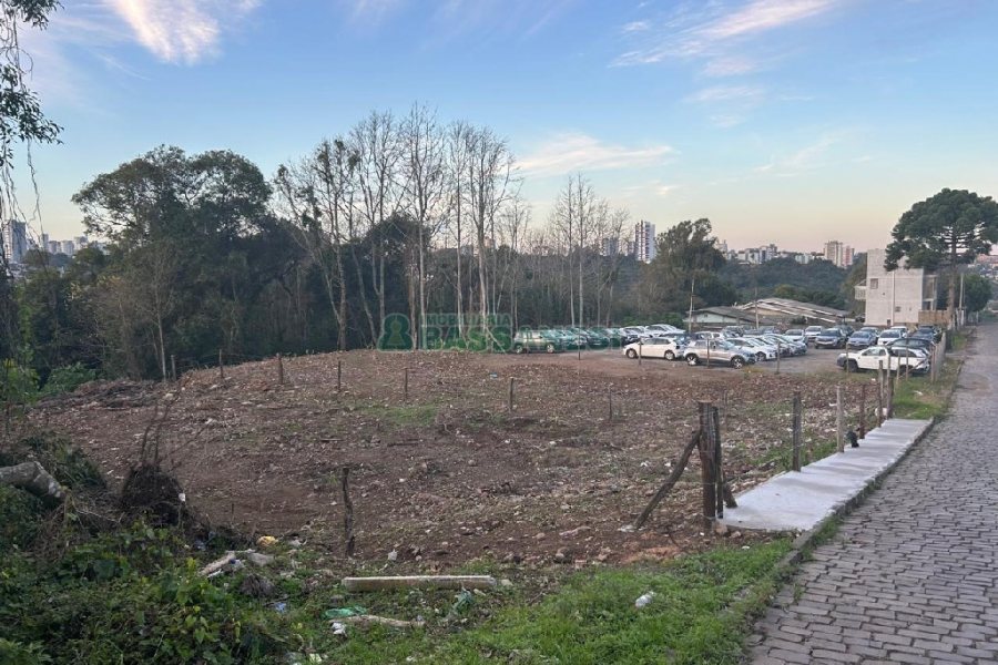 Terreno com 743m², no bairro Salgado Filho em Caxias do Sul para Alugar