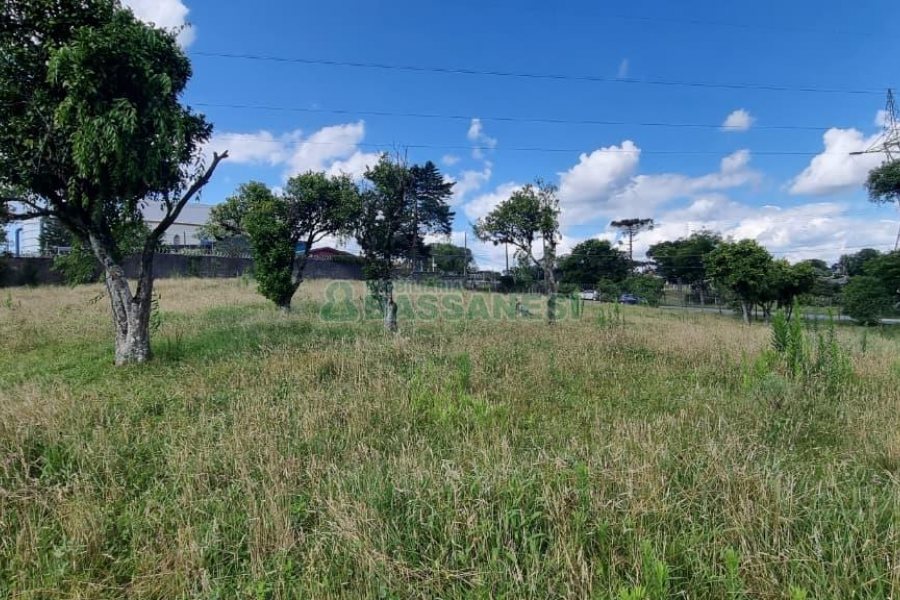 Terreno, no bairro Nossa Senhora do Rosário em Caxias do Sul para Comprar