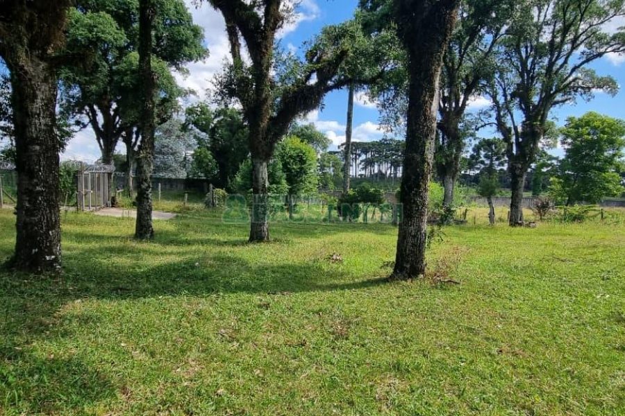 Terreno, no bairro Nossa Senhora do Rosário em Caxias do Sul para Comprar