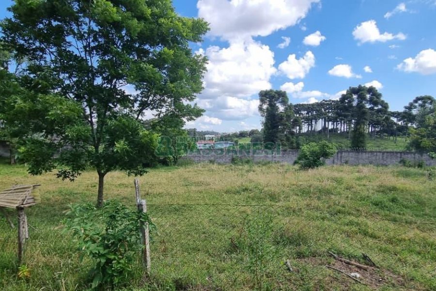 Terreno, no bairro Nossa Senhora do Rosário em Caxias do Sul para Comprar