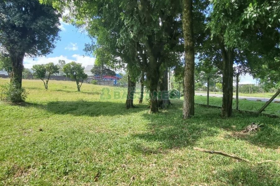 Terreno, no bairro Nossa Senhora do Rosário em Caxias do Sul para Comprar