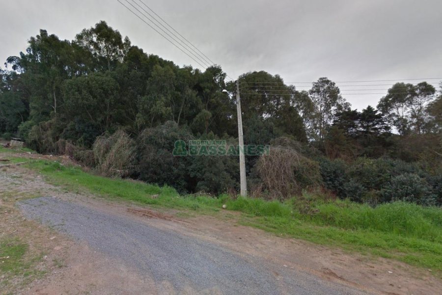 Terreno com 6400m², no bairro Sao Gotardo em Flores da Cunha para Alugar