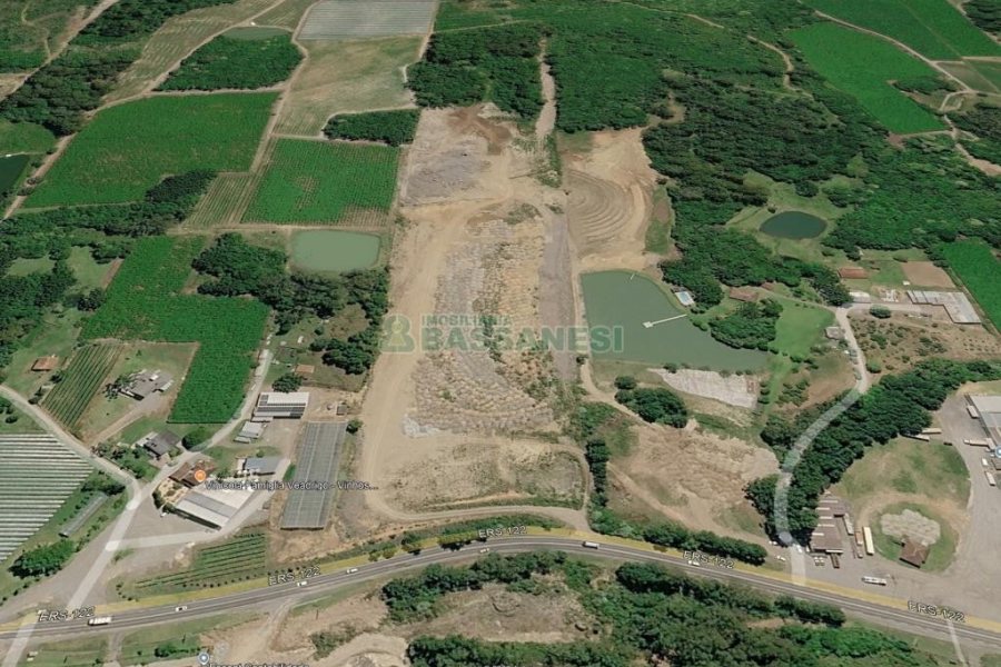 Terreno com 160000m², no bairro Sao Gotardo em Flores da Cunha para Alugar