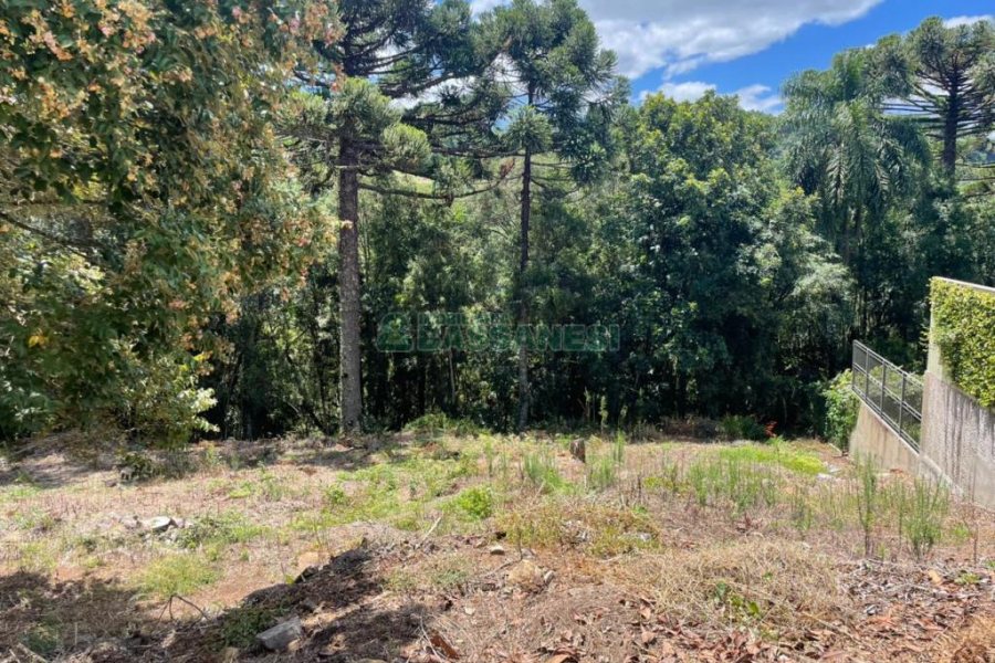 Terreno, no bairro Vinhedos em Caxias do Sul para Comprar