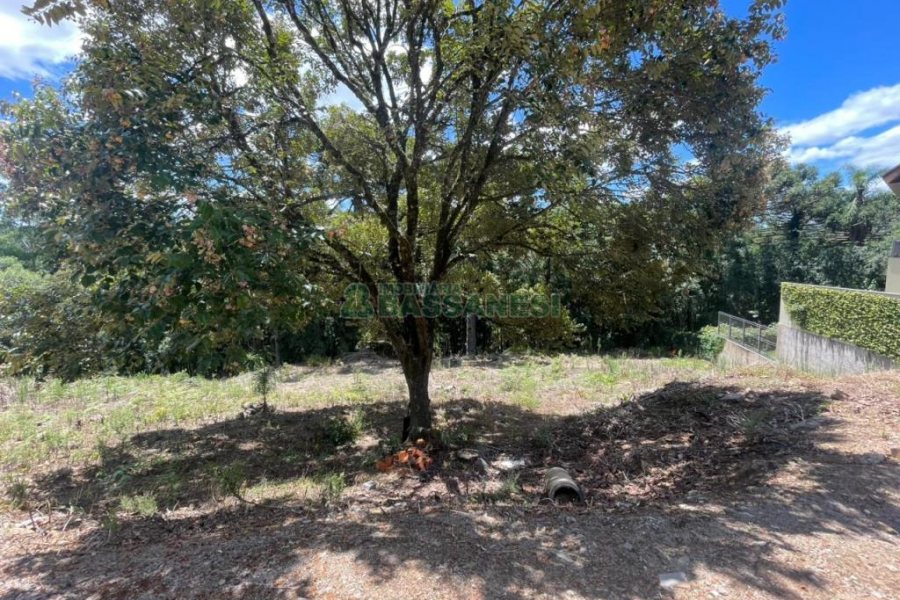 Terreno, no bairro Vinhedos em Caxias do Sul para Comprar