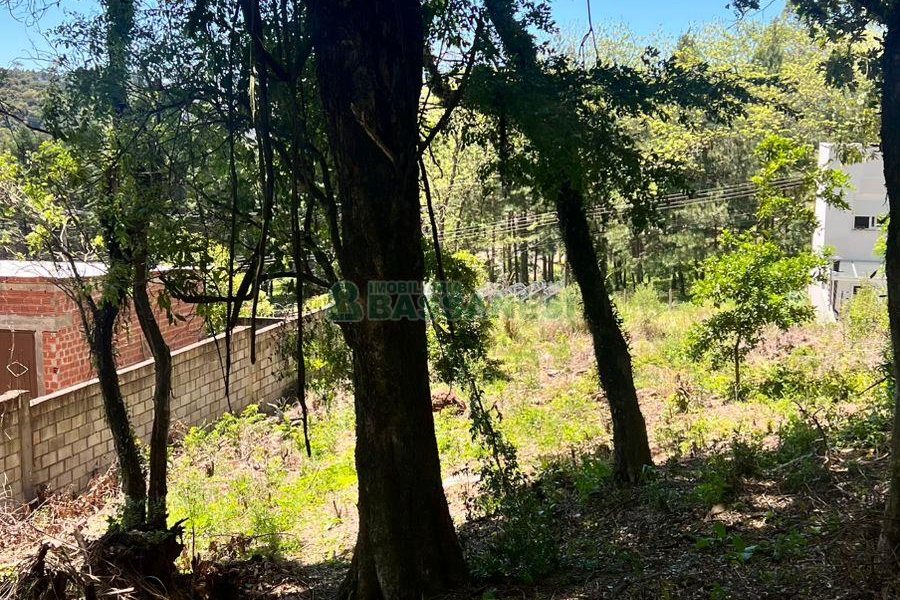 Terreno, no bairro Colina Sorriso em Caxias do Sul para Comprar