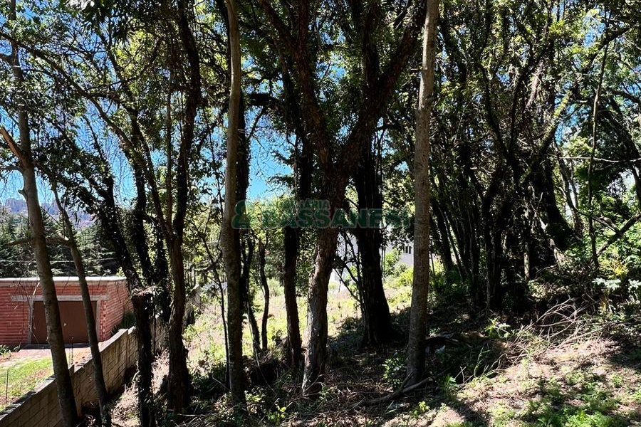 Terreno, no bairro Colina Sorriso em Caxias do Sul para Comprar