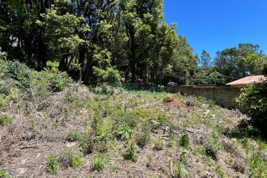 Terreno, no bairro Colina Sorriso em Caxias do Sul para Comprar