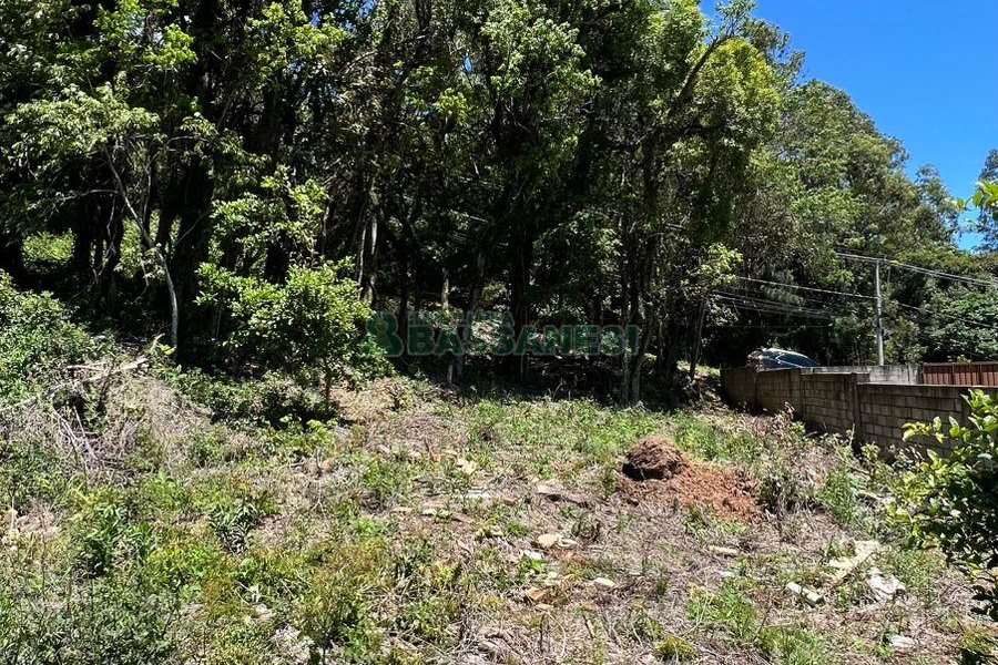 Terreno, no bairro Colina Sorriso em Caxias do Sul para Comprar
