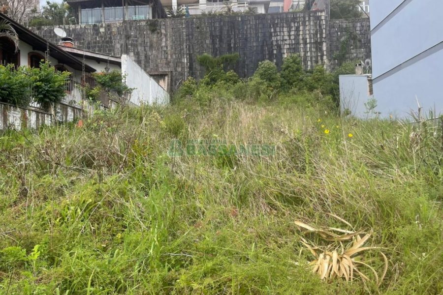 Terreno, no bairro Sanvitto em Caxias do Sul para Comprar
