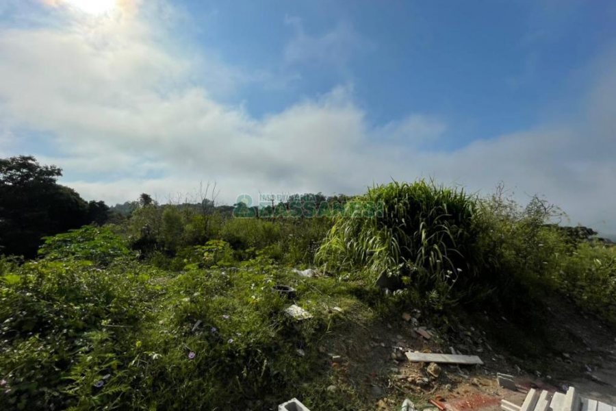Terreno, no bairro São Virgílio em Caxias do Sul para Comprar