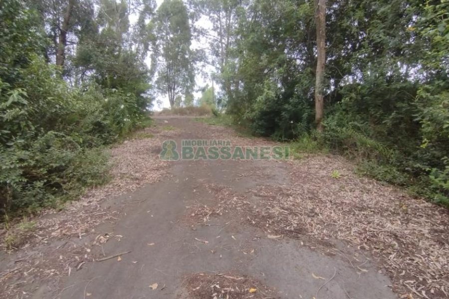 Terreno com 921m², no bairro Pioneiro em Caxias do Sul para Comprar