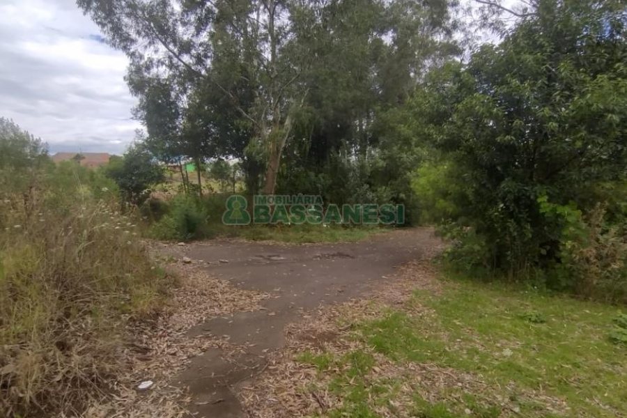 Terreno com 921m², no bairro Pioneiro em Caxias do Sul para Comprar