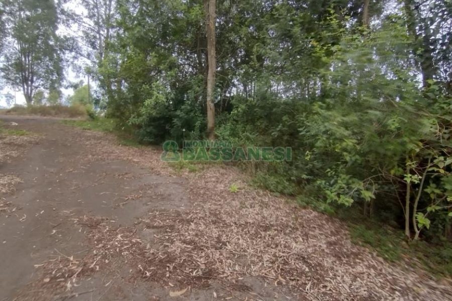 Terreno com 921m², no bairro Pioneiro em Caxias do Sul para Comprar