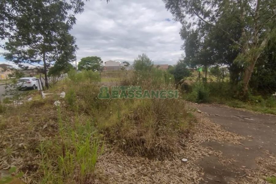 Terreno com 921m², no bairro Pioneiro em Caxias do Sul para Comprar