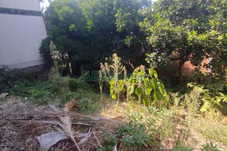 Casa com 387m², 2 dormitórios, 1 vaga, no bairro Floresta em Caxias do Sul para Comprar