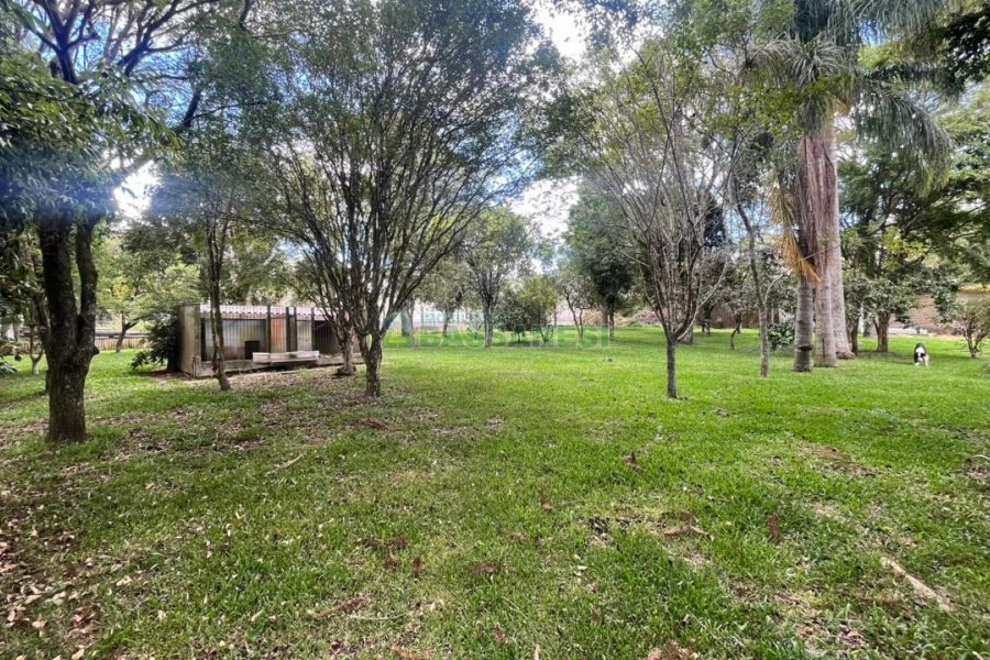 Terreno, no bairro Pedancino em Caxias do Sul para Comprar